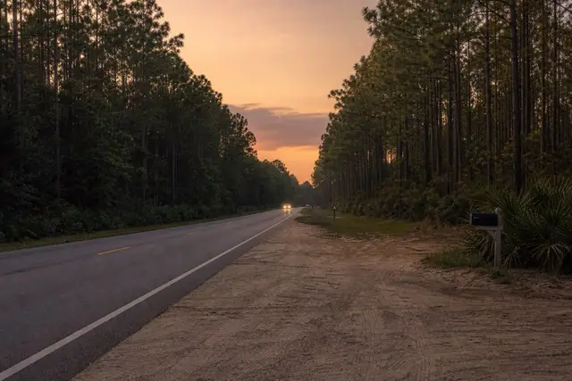Highway 17 corridor tree line in the East Cooper area