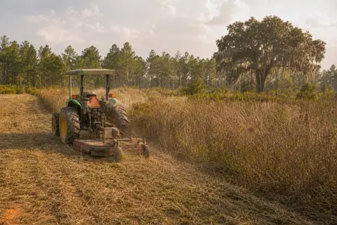 Tractor pulling a rotary brush cutter through waist-high grass and scattered pine saplings on an overgrown Lowcountry field