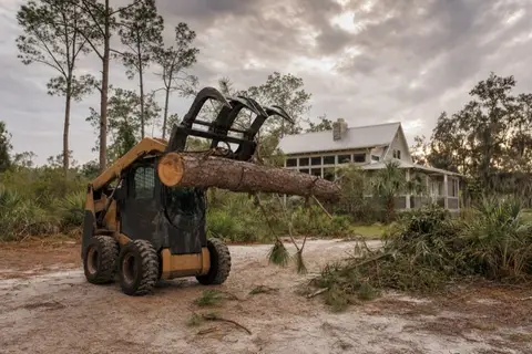 Large pine snapped mid-trunk lying across a residential yard after a storm, sawn sections and scattered limbs awaiting removal